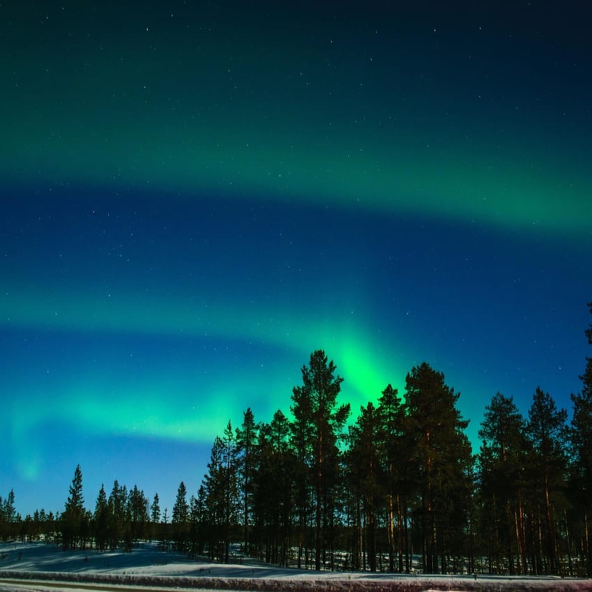 Aurore boréale verte au-dessus d'une forêt de pins enneigée en Laponie finlandaise