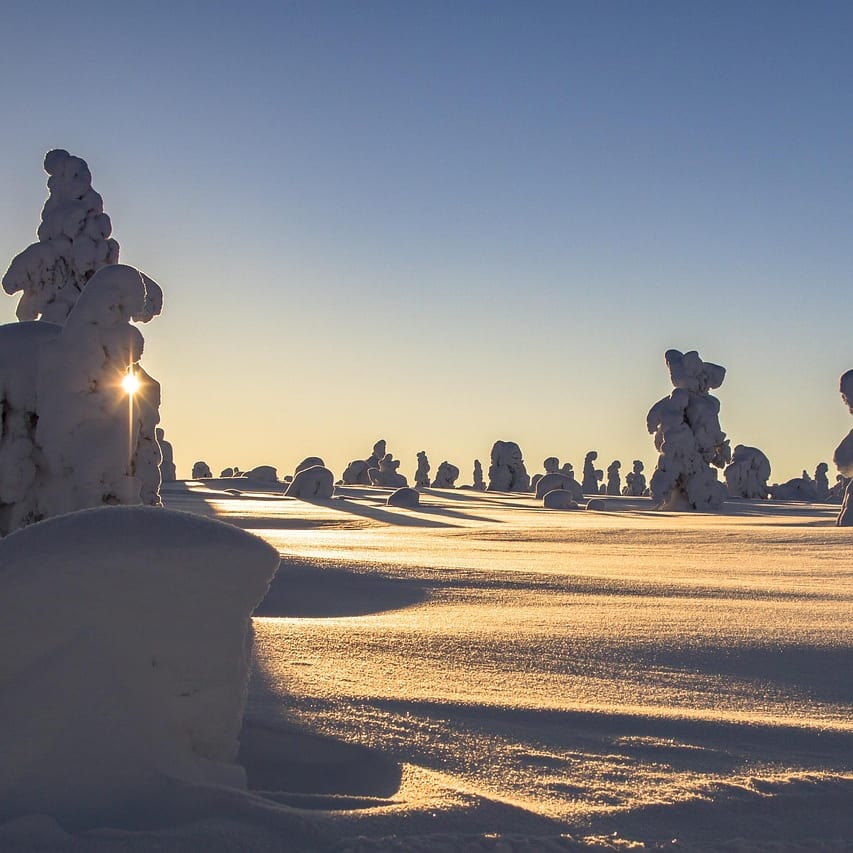 Igloo de verre éclairé sous le ciel étoilé de Laponie