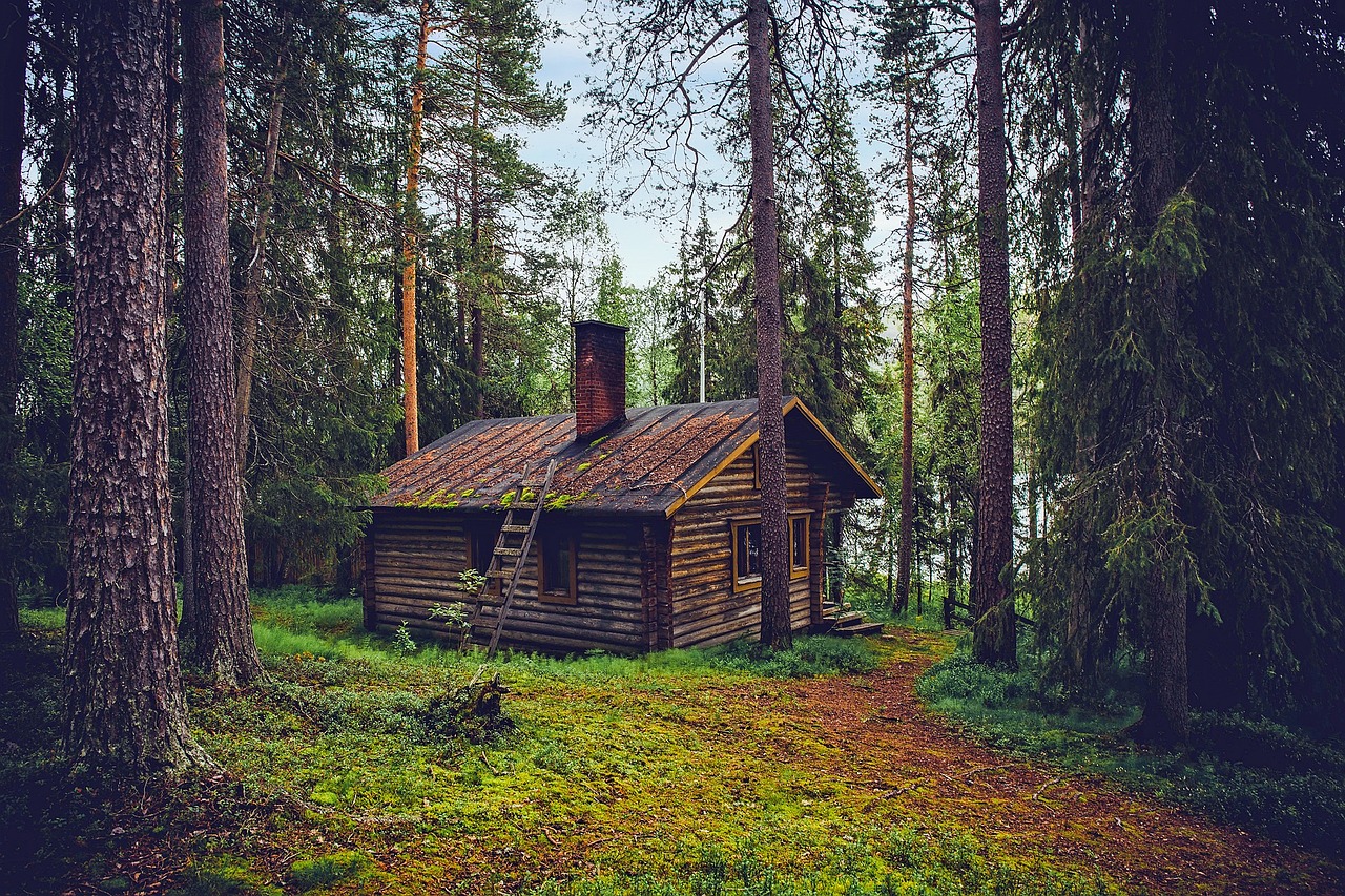 Chalet en rondins isolé dans une forêt finlandaise enneigée