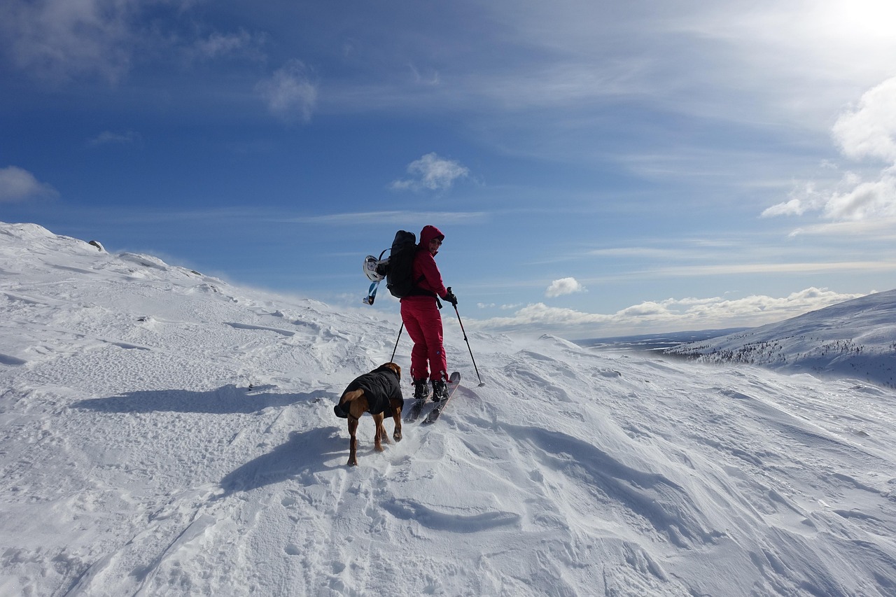 Skier coming down a snowy slope on a Finnish Lapland fell in low sunlight