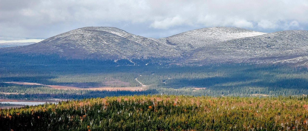 Fjelds enneigés et forêt aux couleurs d'automne dans le nord de la Laponie finlandaise
