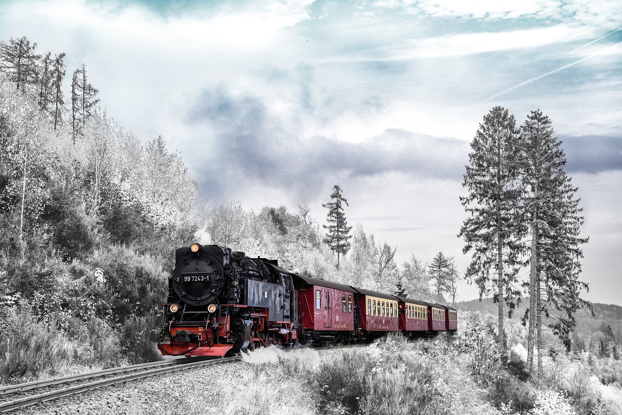 Train traversant un paysage d'hiver enneigé sous une lumière basse