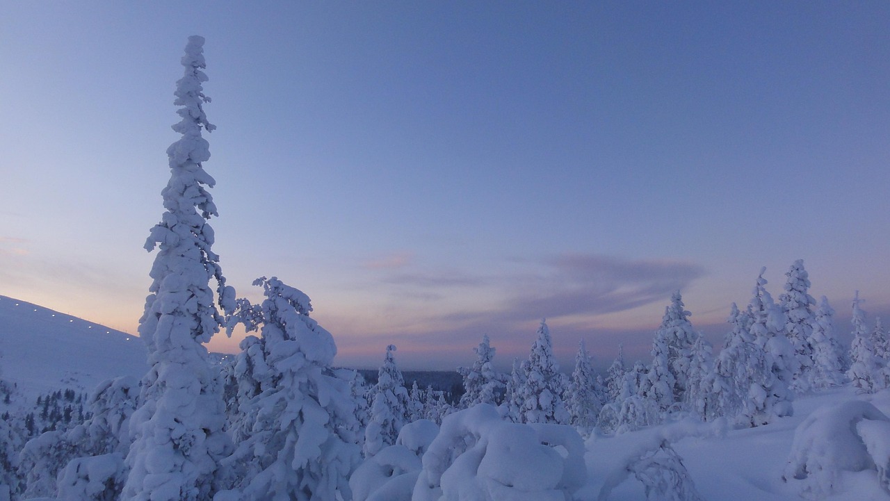 Paysage enneigé du cercle polaire arctique en Laponie finlandaise