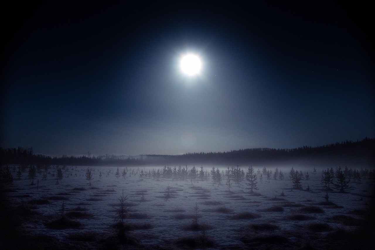 Partly cloudy winter night sky above a snow-covered forest