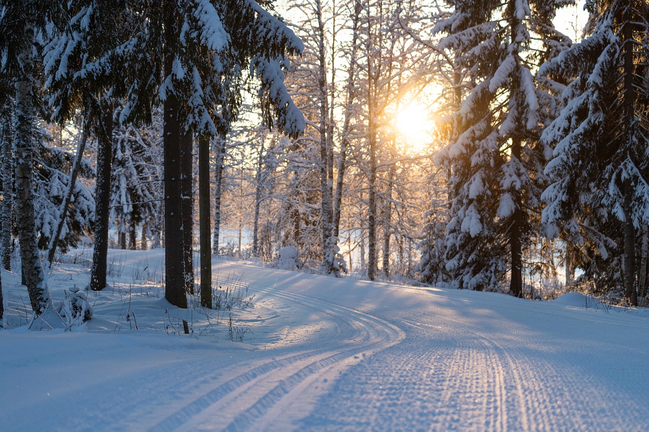 Cross-country ski tracks in fresh snow in a Finnish Lapland landscape